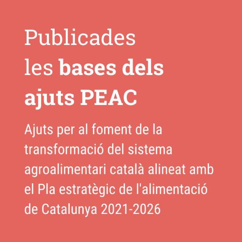 Publicades les bases dels ajuts PEAC