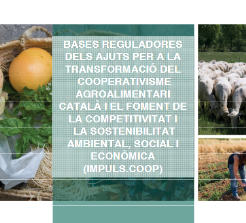 bases convocatoria impulscoop per a cooperatives agroalimentaries