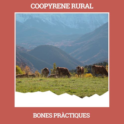 Coopyrene: bones pràctiques de l'ESS a l'Alt Pirineu i Aran