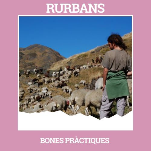 Rurbans-Escola de pastors: bones pràctiques de l'ESS a l'Alt Pirineu i Aran