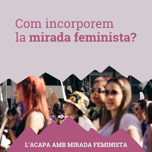 Com incorporem la mirada feminista?